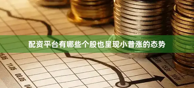配资平台有哪些个股也呈现小普涨的态势