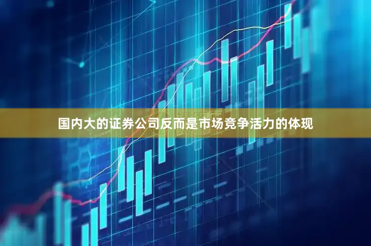 国内大的证券公司反而是市场竞争活力的体现