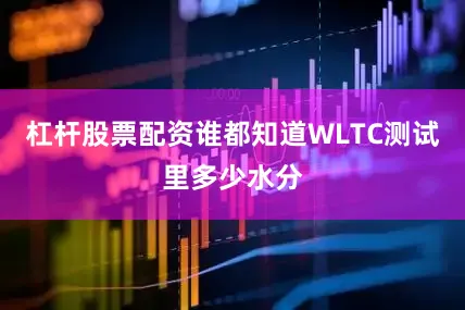 杠杆股票配资谁都知道WLTC测试里多少水分